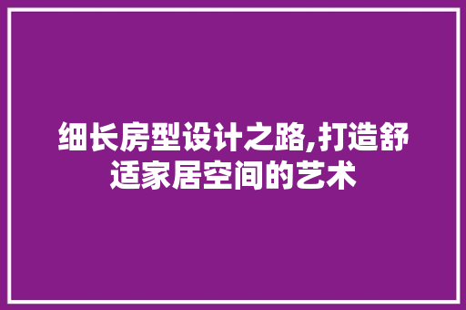 细长房型设计之路,打造舒适家居空间的艺术