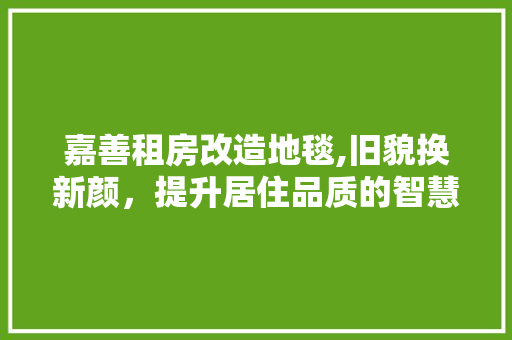 嘉善租房改造地毯,旧貌换新颜，提升居住品质的智慧之路