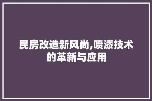 民房改造新风尚,喷漆技术的革新与应用