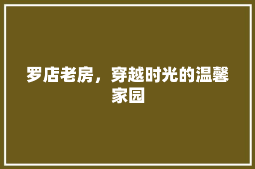 罗店老房，穿越时光的温馨家园