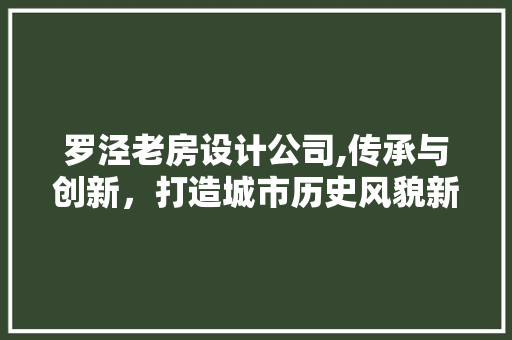 罗泾老房设计公司,传承与创新，打造城市历史风貌新典范