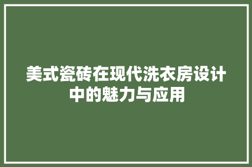 美式瓷砖在现代洗衣房设计中的魅力与应用