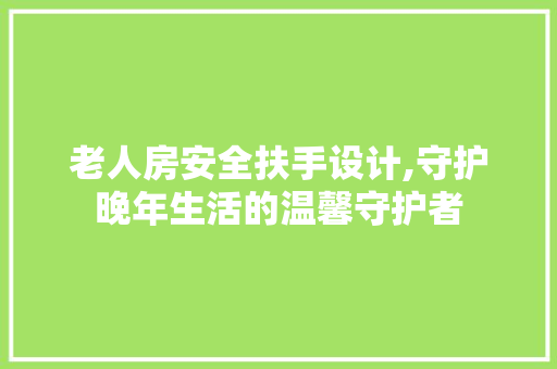 老人房安全扶手设计,守护晚年生活的温馨守护者