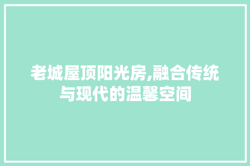 老城屋顶阳光房,融合传统与现代的温馨空间