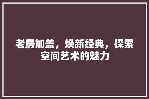 老房加盖，焕新经典，探索空间艺术的魅力