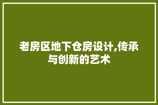 老房区地下仓房设计,传承与创新的艺术