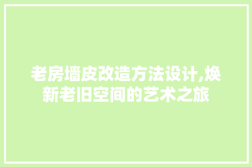 老房墙皮改造方法设计,焕新老旧空间的艺术之旅