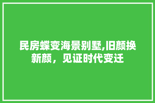 民房蝶变海景别墅,旧颜换新颜，见证时代变迁