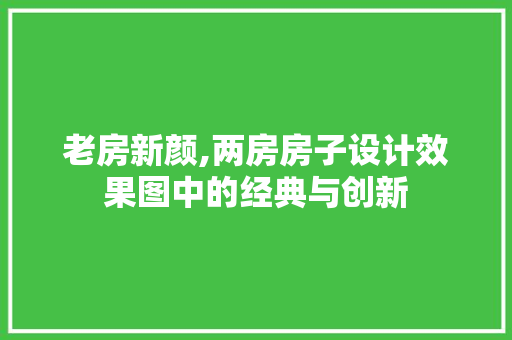 老房新颜,两房房子设计效果图中的经典与创新