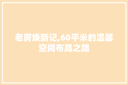 老房焕新记,60平米的温馨空间布局之路