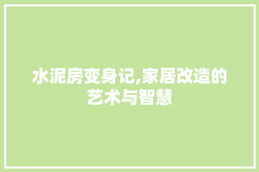 水泥房变身记,家居改造的艺术与智慧