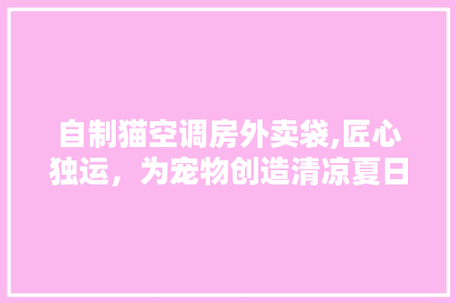 自制猫空调房外卖袋,匠心独运，为宠物创造清凉夏日