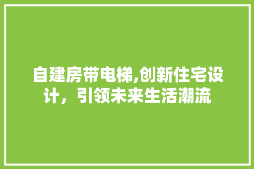 自建房带电梯,创新住宅设计，引领未来生活潮流