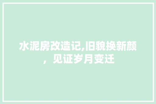水泥房改造记,旧貌换新颜，见证岁月变迁