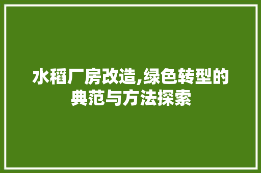 水稻厂房改造,绿色转型的典范与方法探索
