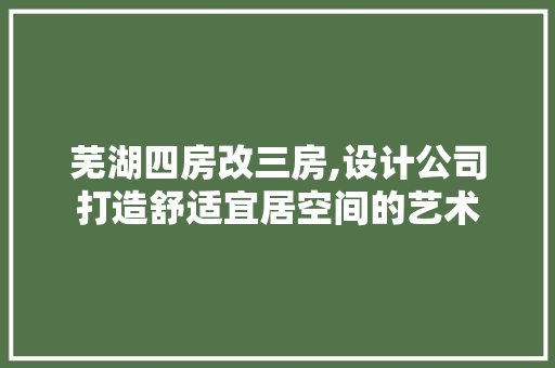 芜湖四房改三房,设计公司打造舒适宜居空间的艺术