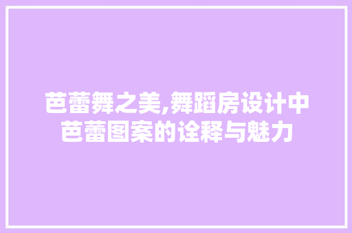 芭蕾舞之美,舞蹈房设计中芭蕾图案的诠释与魅力