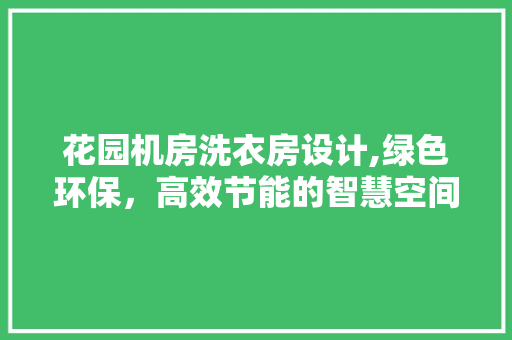 花园机房洗衣房设计,绿色环保，高效节能的智慧空间