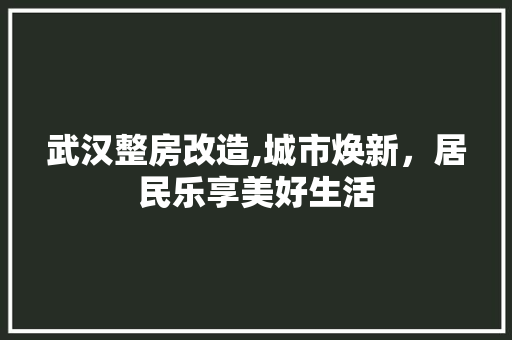 武汉整房改造,城市焕新，居民乐享美好生活