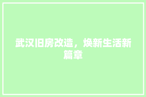 武汉旧房改造，焕新生活新篇章