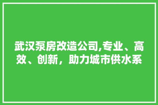 武汉泵房改造公司,专业、高效、创新，助力城市供水系统升级