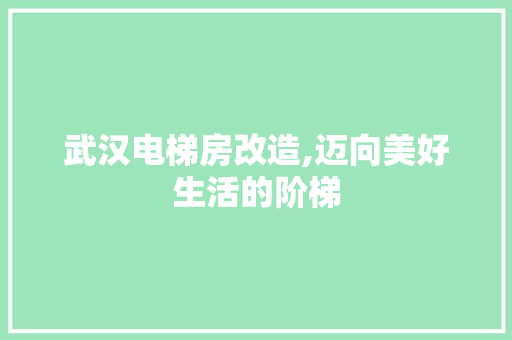 武汉电梯房改造,迈向美好生活的阶梯