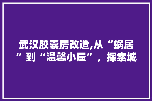 武汉胶囊房改造,从“蜗居”到“温馨小屋”，探索城市青年新居住模式
