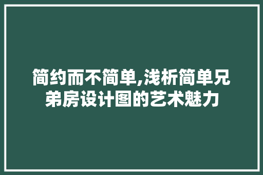简约而不简单,浅析简单兄弟房设计图的艺术魅力