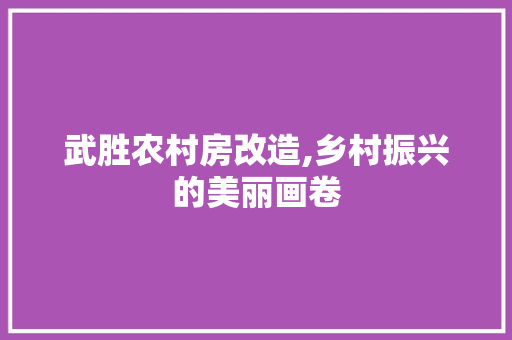 武胜农村房改造,乡村振兴的美丽画卷