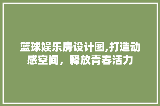 篮球娱乐房设计图,打造动感空间，释放青春活力