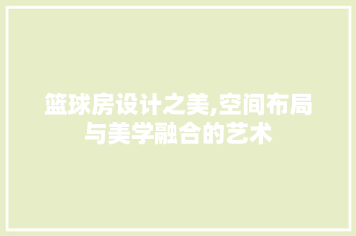 篮球房设计之美,空间布局与美学融合的艺术
