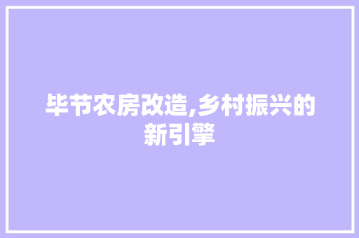 毕节农房改造,乡村振兴的新引擎