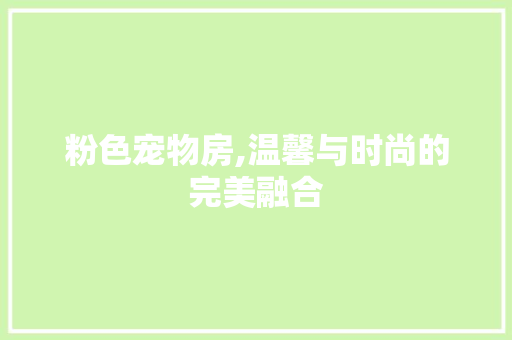 粉色宠物房,温馨与时尚的完美融合