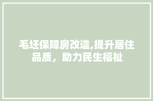 毛坯保障房改造,提升居住品质，助力民生福祉