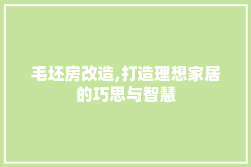 毛坯房改造,打造理想家居的巧思与智慧