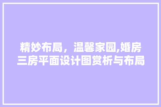 精妙布局，温馨家园,婚房三房平面设计图赏析与布局建议