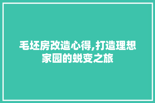 毛坯房改造心得,打造理想家园的蜕变之旅