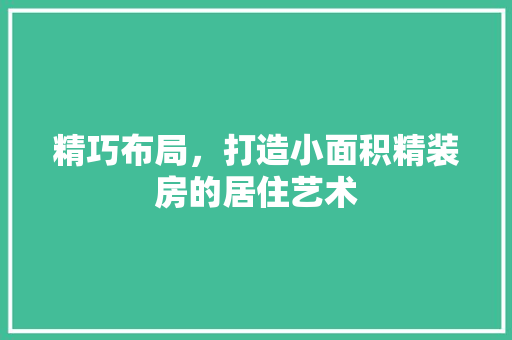 精巧布局，打造小面积精装房的居住艺术