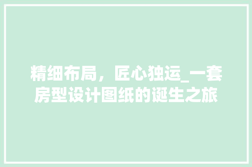 精细布局，匠心独运_一套房型设计图纸的诞生之旅