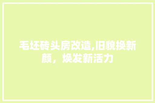 毛坯砖头房改造,旧貌换新颜，焕发新活力