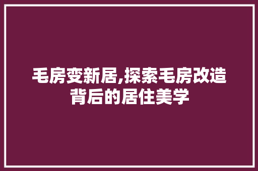 毛房变新居,探索毛房改造背后的居住美学