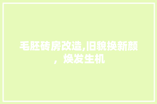 毛胚砖房改造,旧貌换新颜，焕发生机