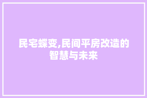 民宅蝶变,民间平房改造的智慧与未来