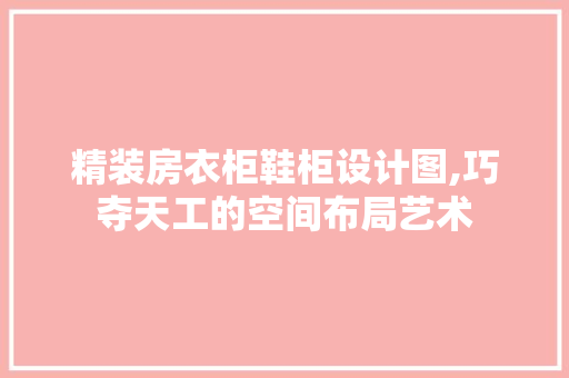 精装房衣柜鞋柜设计图,巧夺天工的空间布局艺术