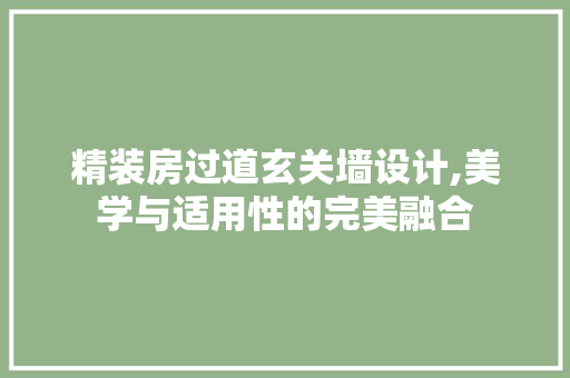 精装房过道玄关墙设计,美学与适用性的完美融合