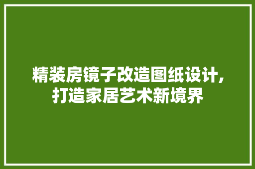 精装房镜子改造图纸设计,打造家居艺术新境界