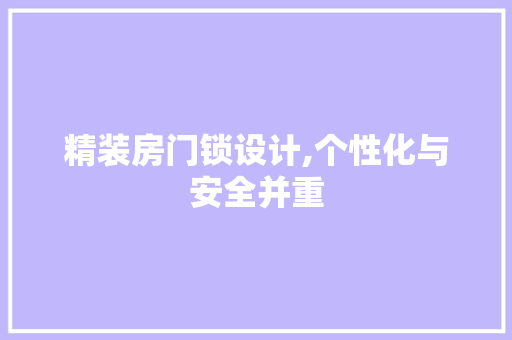 精装房门锁设计,个性化与安全并重