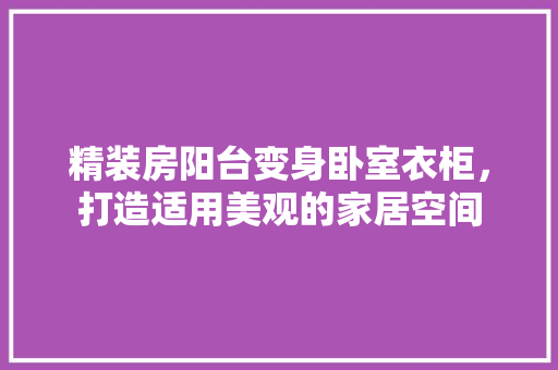 精装房阳台变身卧室衣柜，打造适用美观的家居空间