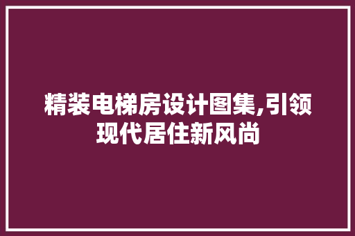 精装电梯房设计图集,引领现代居住新风尚