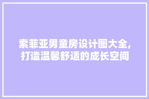 索菲亚男童房设计图大全,打造温馨舒适的成长空间
